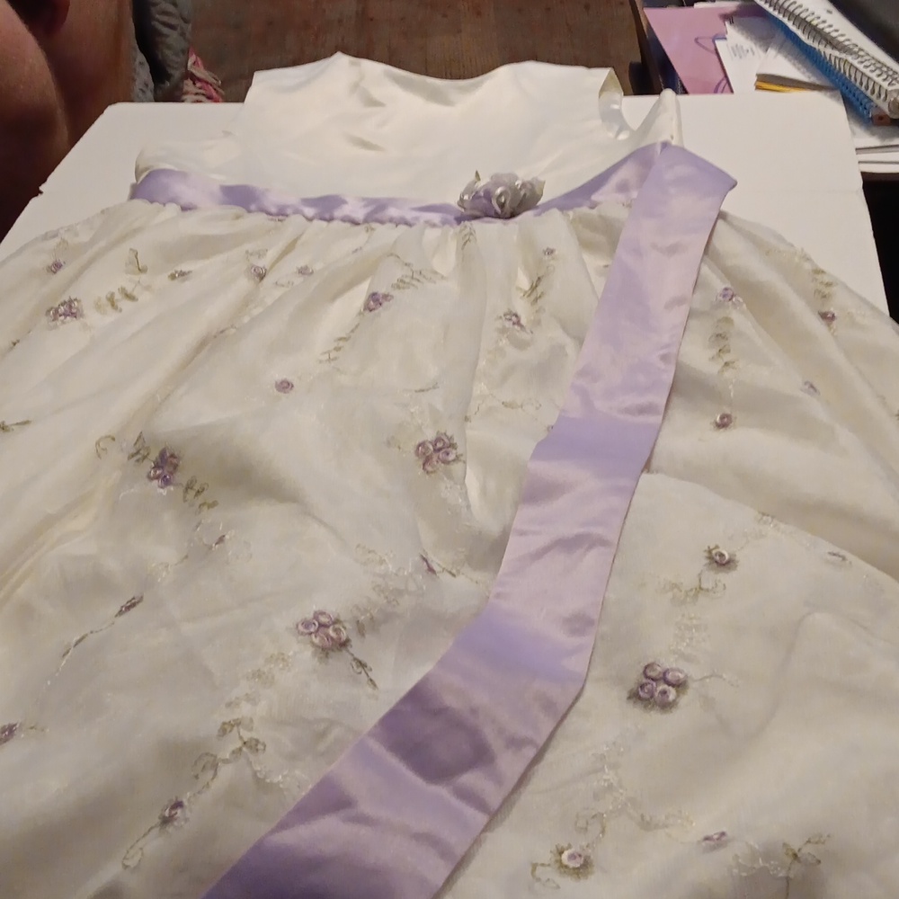 Cinderella dress